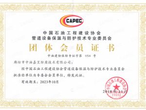 中国石油工程建设协会管道设备保温与防护技术专业委员会团体会员证书