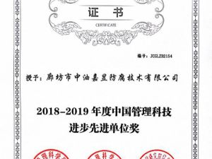 2019年度中国管理科技进步先进单位奖